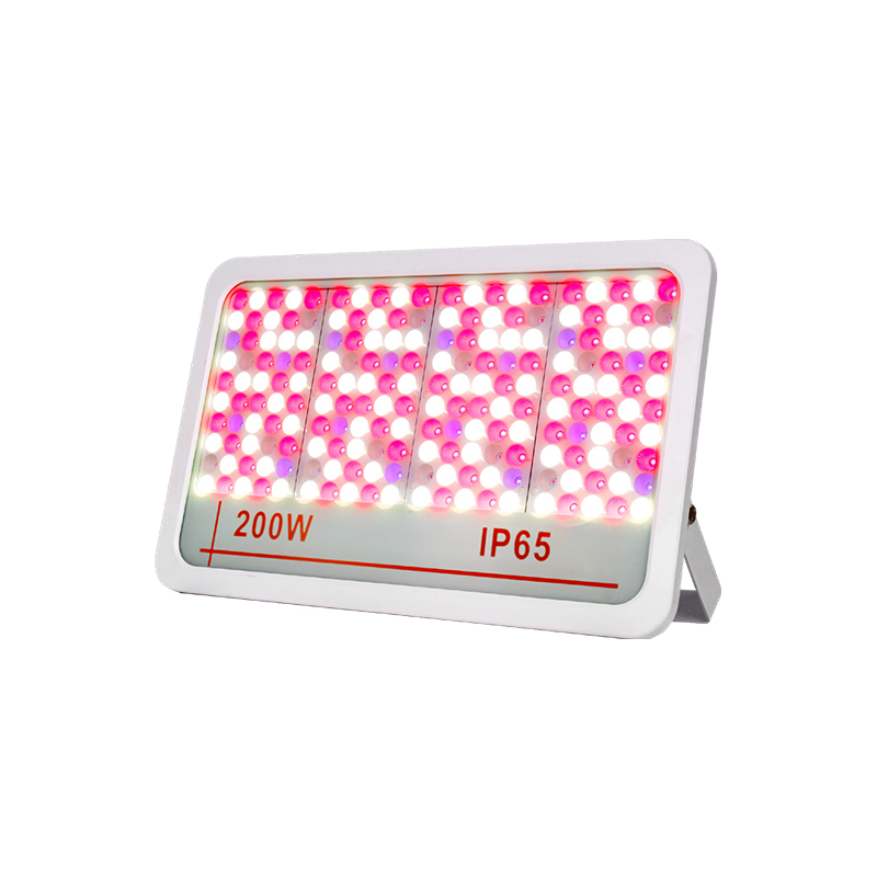 LED LUMINA DE FOLTION