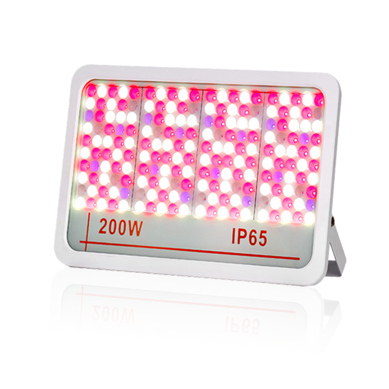 LED LUMINA DE FOLTION