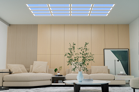 Xin Guang Yuan (Lumini noi) Lighting Technology Co., Ltd.